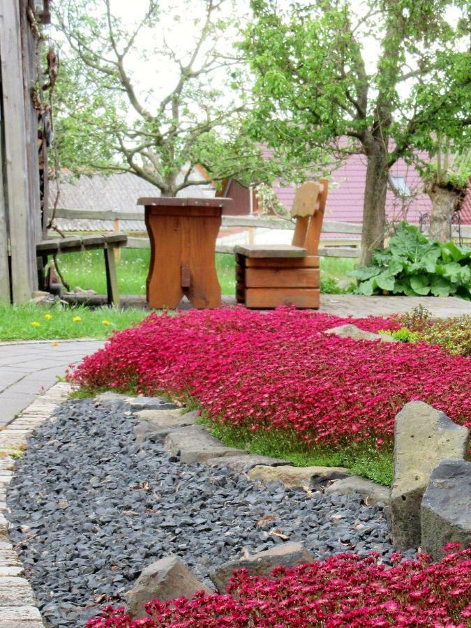 Qi Gong Haus Apartment Rossdorf  Exterior photo